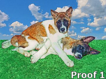 Custom Akitas art
