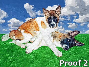 Whimsical Akita portraits