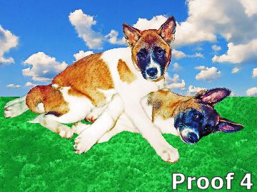 Cool Akita art and gifts