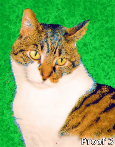 Custom cat art from your photos