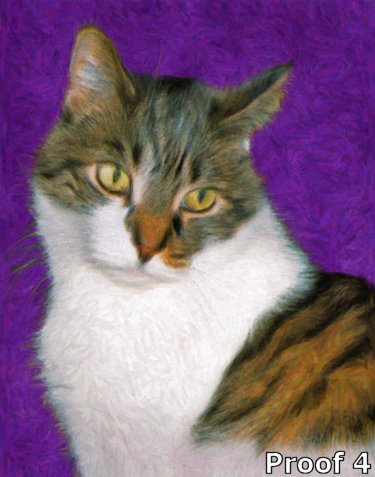 Custom cat art for the cat lover