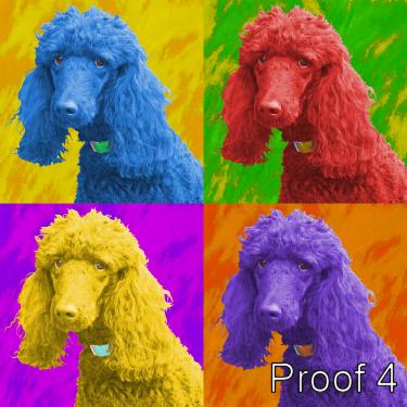 Custom Poodle Warhol style art portrait