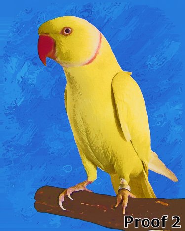 Custom Pet Pop Art Portrait Indian Ringnecked Parakeet