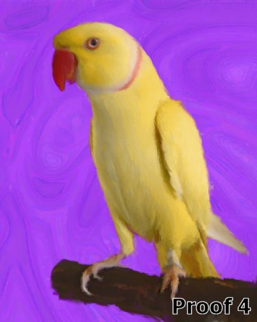  Breed Specific Pet Portrait Indian Ringnecked Parakeet 