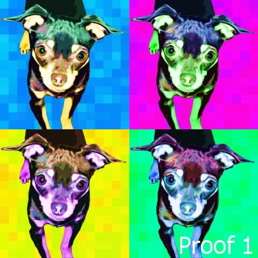 Chihuahua pop art