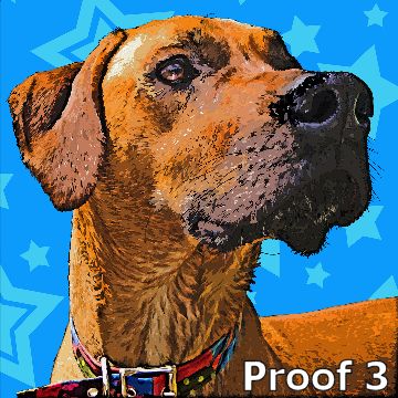 Boxer dog art portrait