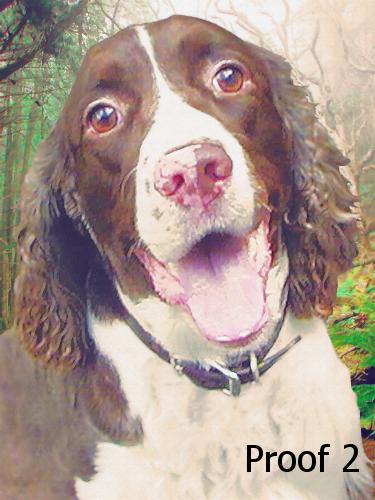 English Springer Spaniel Art