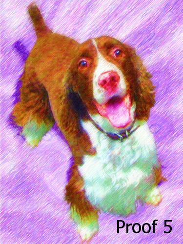 breed specific spaniel art and git items