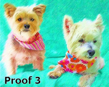 Custom dog portraits