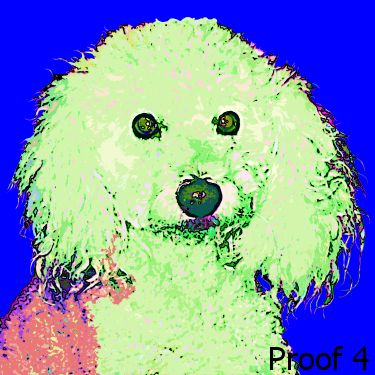 Custom Poodle Warhol style art portrait