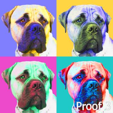 Custom English Mastiff portrait