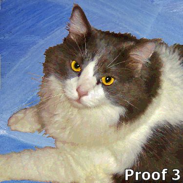 custom cat portraits and gifts