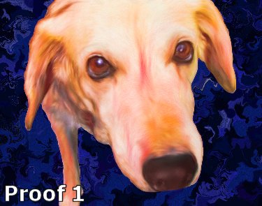 Cool Dog Art