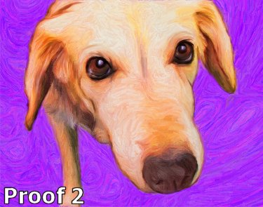 Cool Dog Portrait