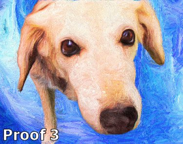 Dog portrait