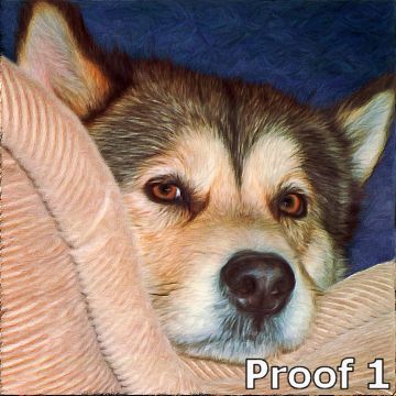 Alaskan Malamute portrait