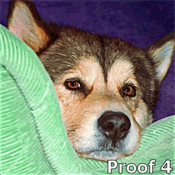 Alaskan Malamute dog portrait