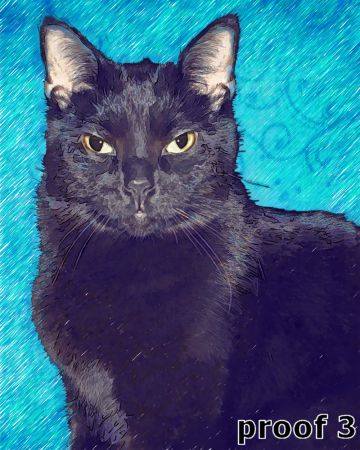 Custom cat art from your photos