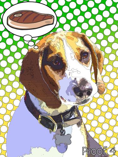  Breed Specific og art Portrait Beagle