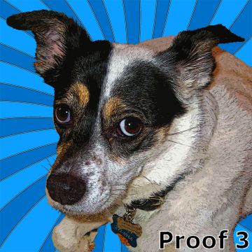 Jack Russell Terrier Custom pop art portrait