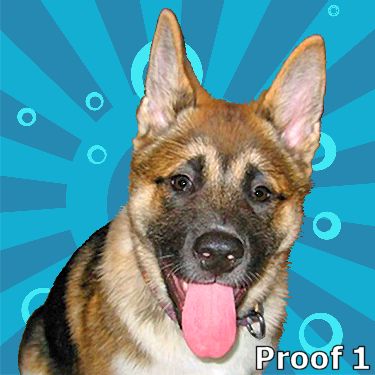 Akita pop art