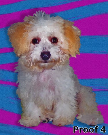 Custom Poodle Warhol style art portrait