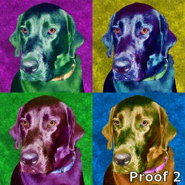 Black Labrador custom pop art