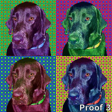 Labrador Retriever pop art portrait