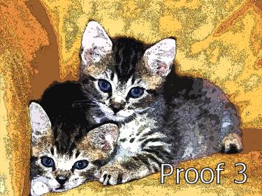 warhol inspired cat pop art portraits