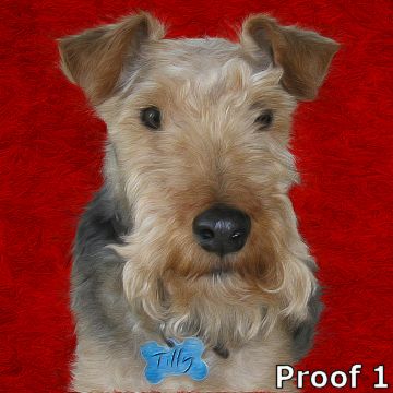 Welsh Terrier Art and Gifts