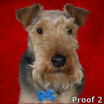 Welsh Terrier  pop art portraits and gifts