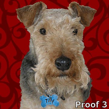 Welsh Terrier breed specific portraits and art