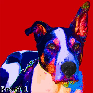 Whimsical dog art