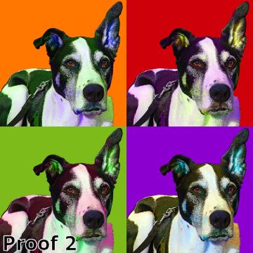 Pop art dog