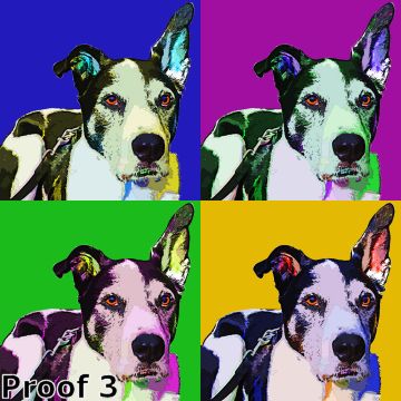 Cool dog portrait