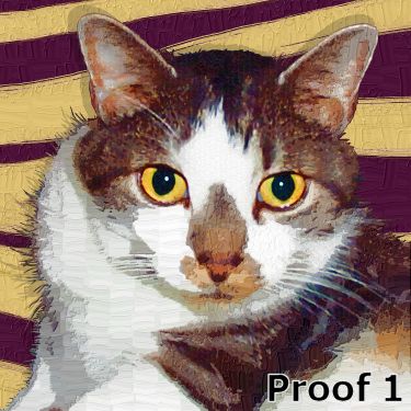 pop art pet cat gifts