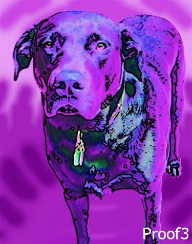 peter max dog portrait
