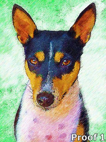 Basenji portrait