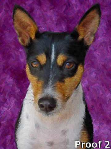 custom Basenji art