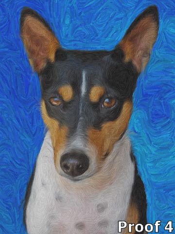 whimsical Basenji portraits