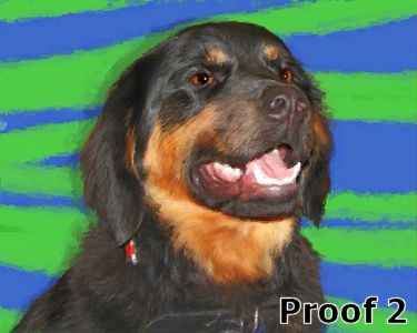 Rottie art portrait