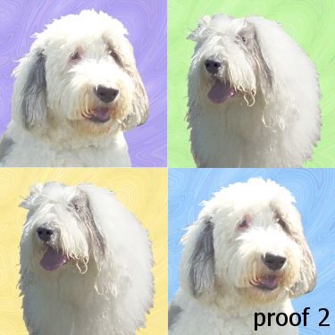 Sheepdog art