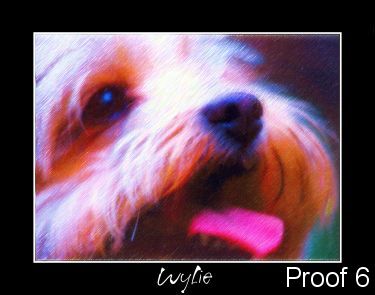 Wylie