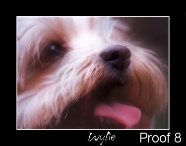 Wylie