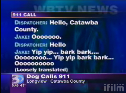Dog calls 911