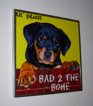 framed album covers
