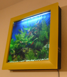 aquavision.jpg