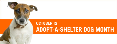 adopt a dog month