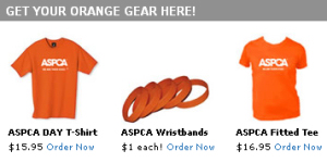 aspcastore.jpg
