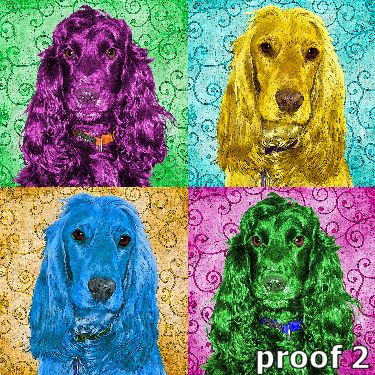 dog portraits